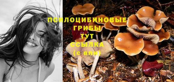 спиды Балахна