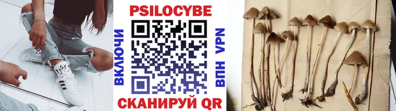 Псилоцибиновые грибы ЛСД  Купить  Новоржев 